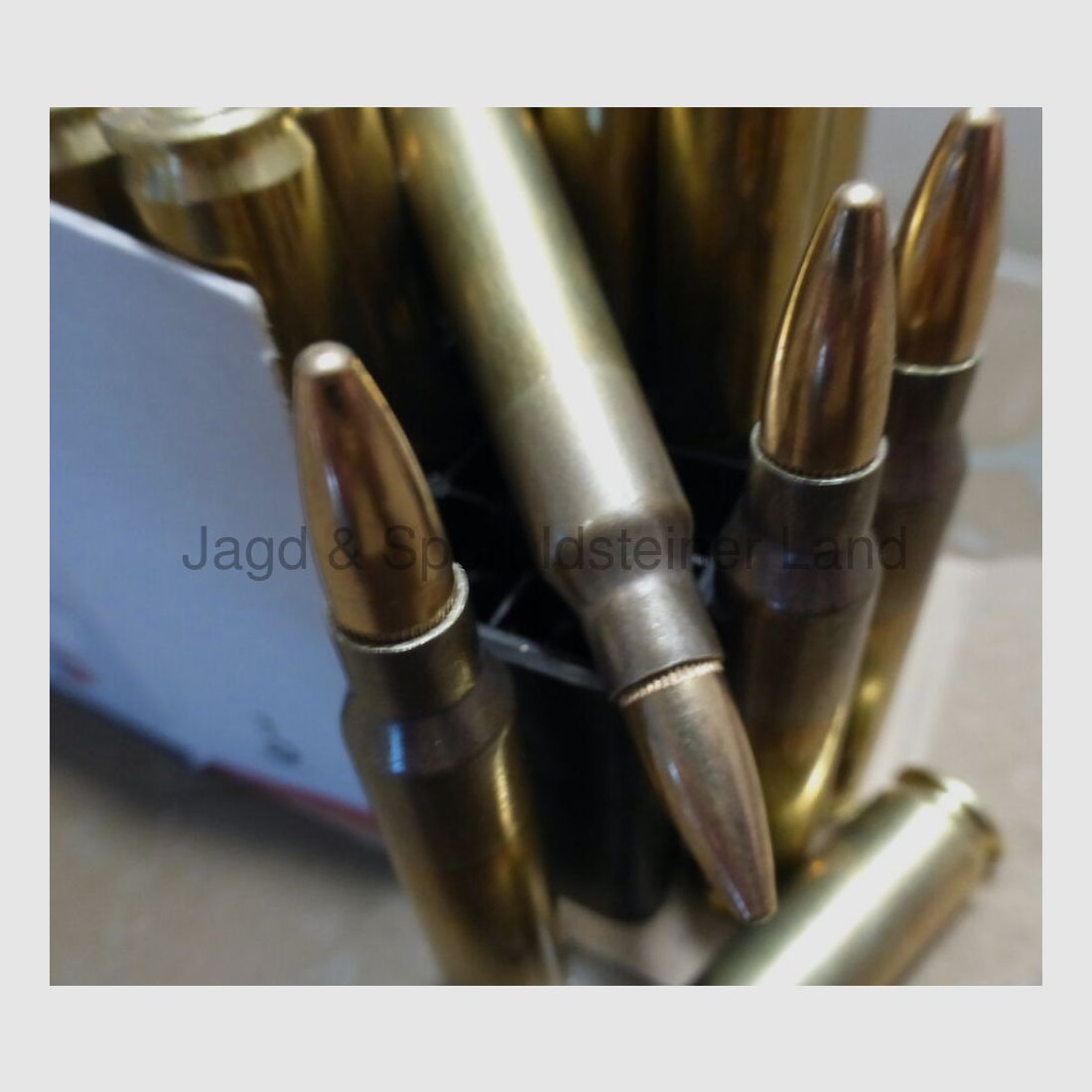 AGUILA 55grs, FMJ, 50 Patronen pro Packung