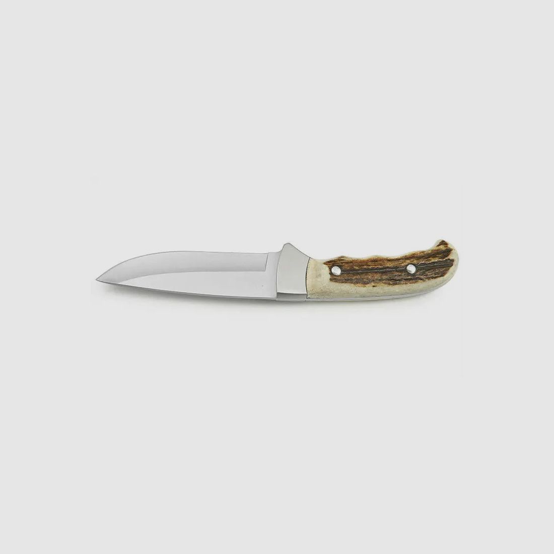 PUMA IP outdoor hunter, stag