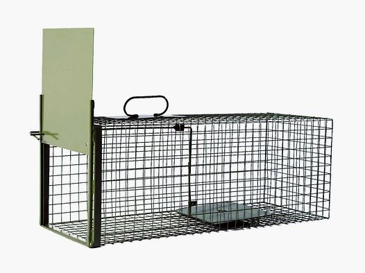 DAUTHvertrieb Lebendfangfalle Draht 1türig 74x28x28cm