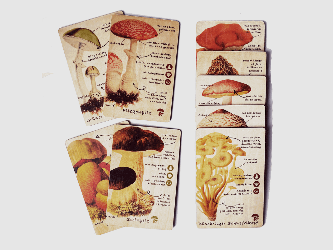 Schede in legno carte di apprendimento funghi set (9 carte)