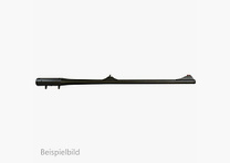 Blaser WL R8
