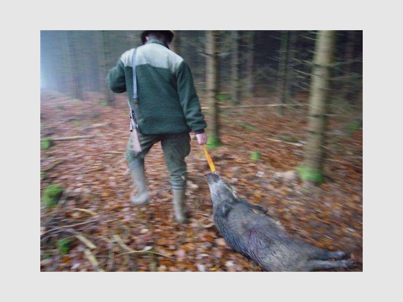 tjs-Hand-Wildbergehilfe L, Bild 2 von 3
