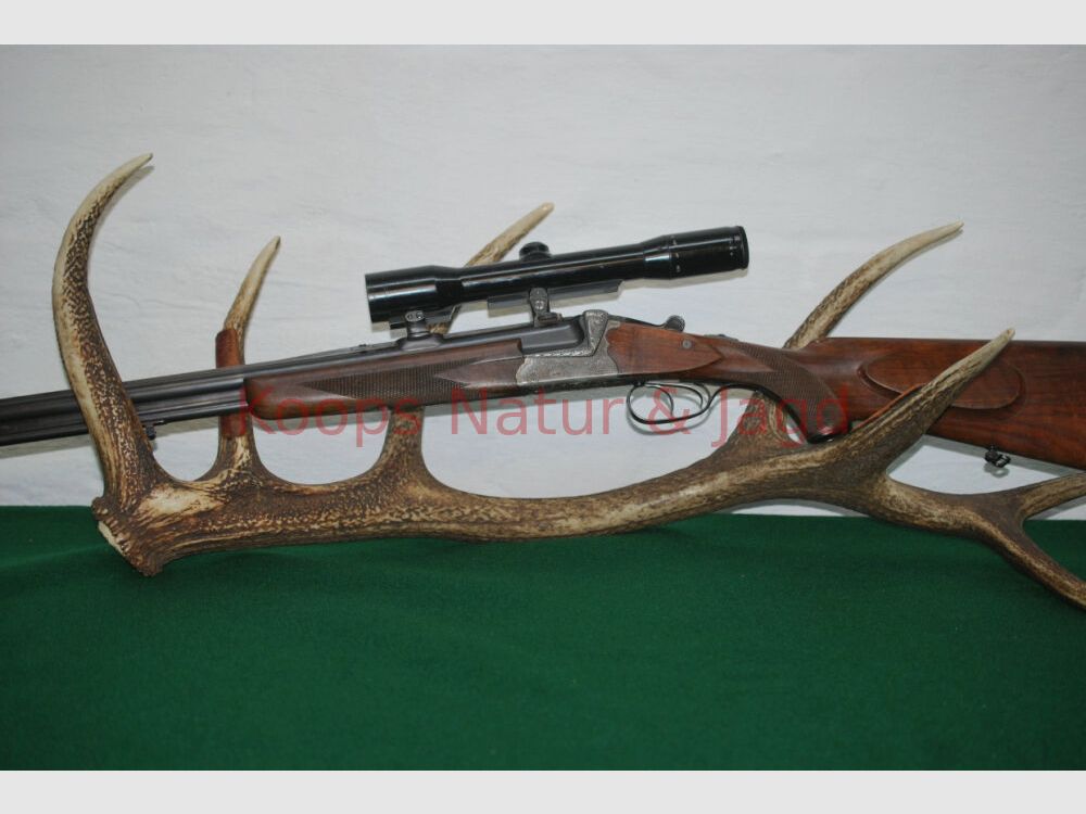 Sauer & Sohn 54