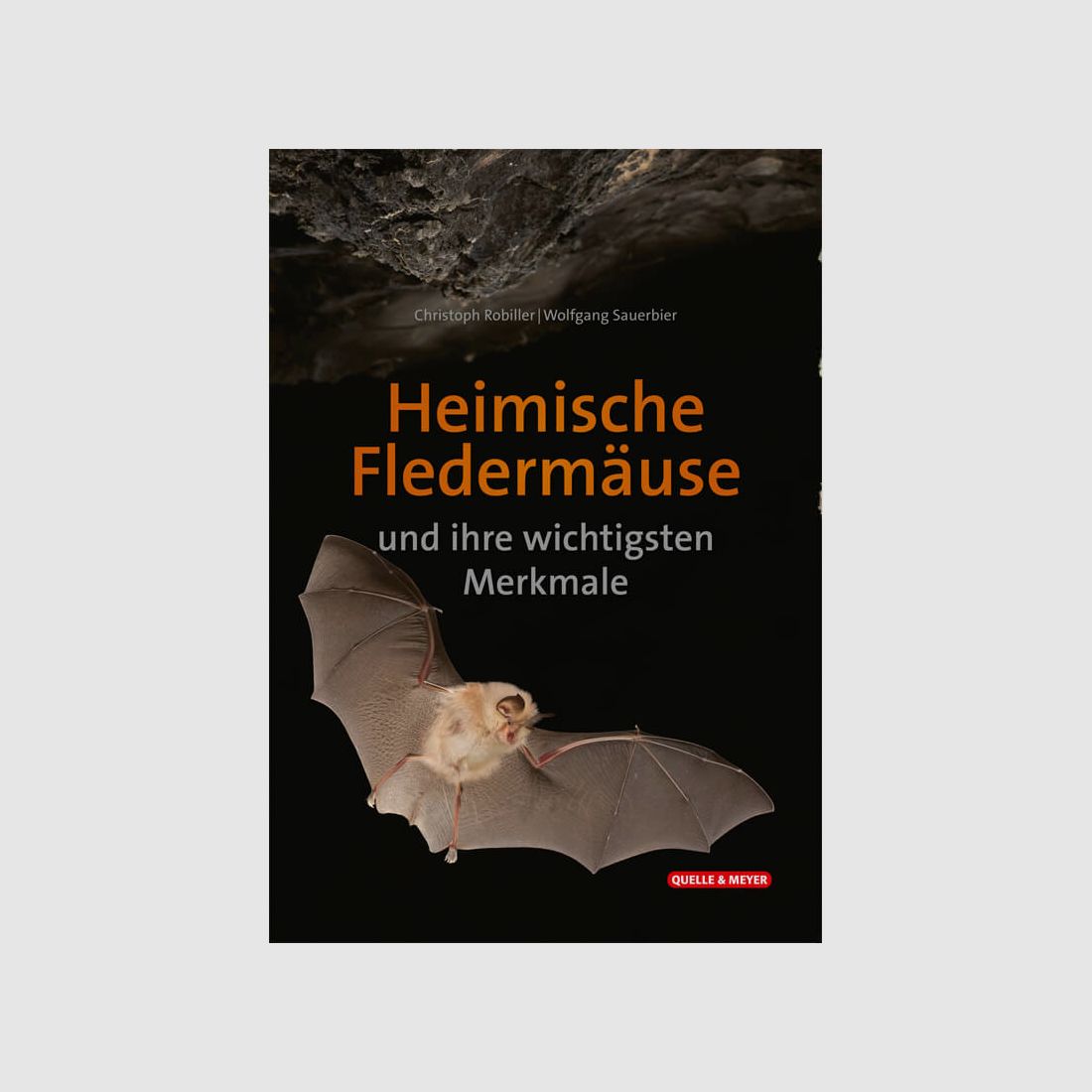 Bestimmungskarte "Heimische Fledermäuse und ihre wichtigsten Merkmale"