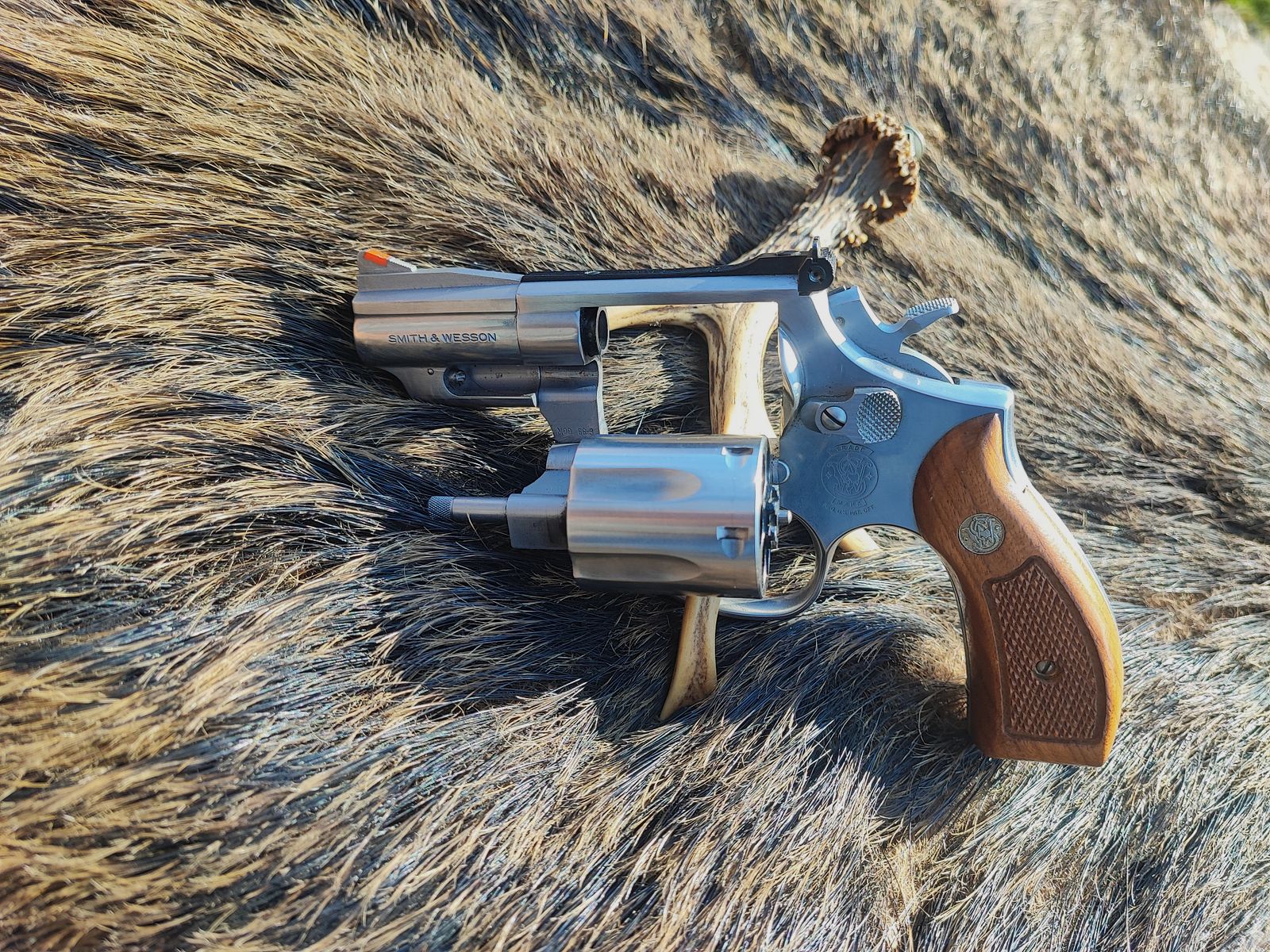 Smith & Wesson 686
