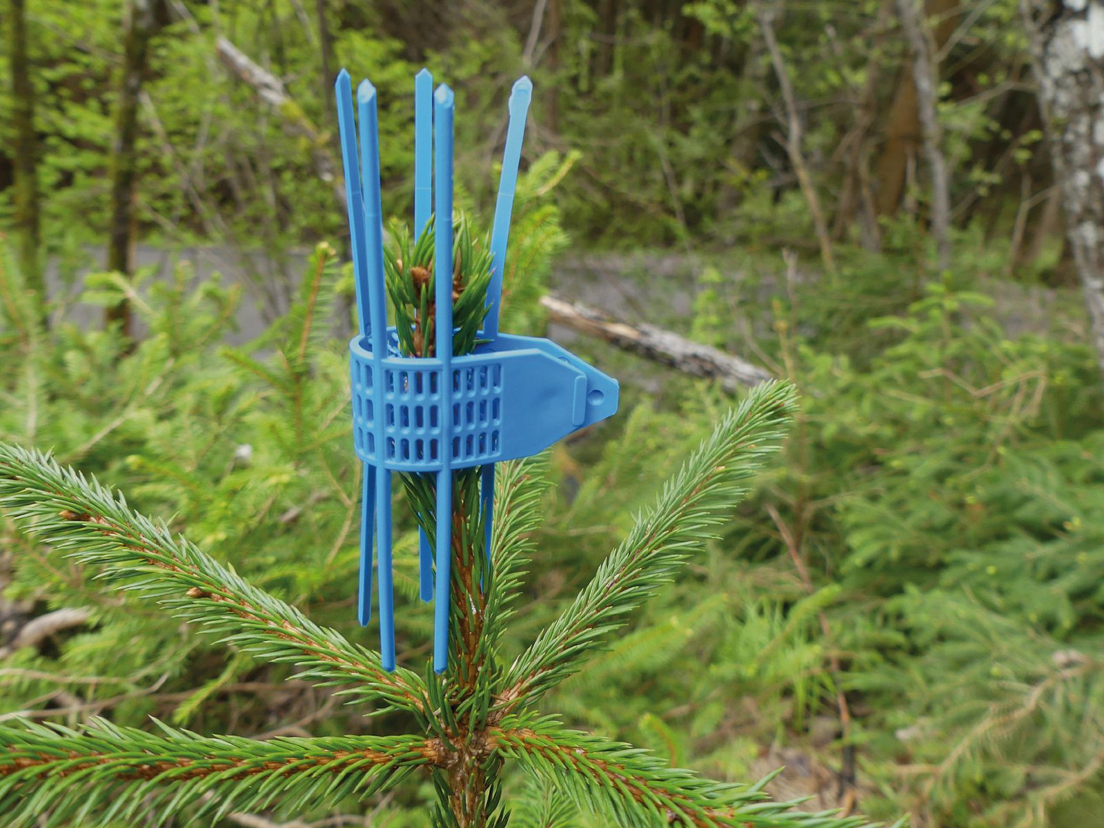 TS-Guanti di protezione