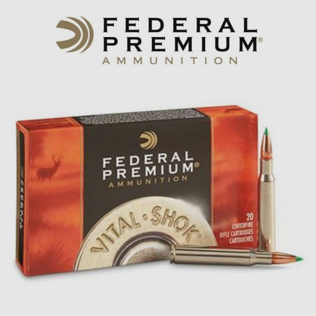 BULLET FEDERAL PREMIUM 30-06 SPRINGFIELD 165GR NOLSER BALLISTIC TIP, image 1 sur 2