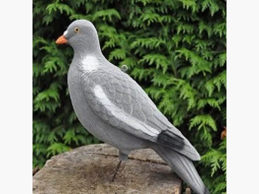 Beflockte ganze Taube – Kopf nach oben