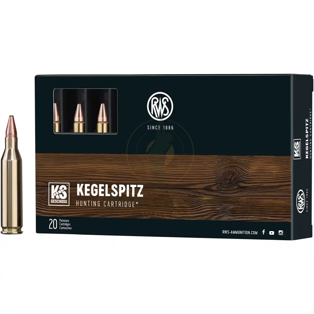 RWS .243 Win. Pointe 6,2g/96gr 20 pcs./Pkg., image 2 sur 6