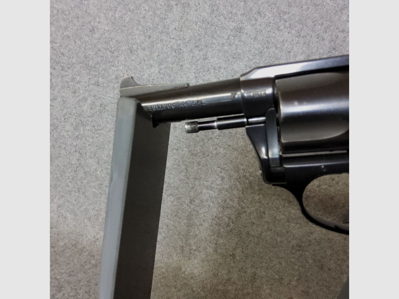 Charter Arms	 Bulldog