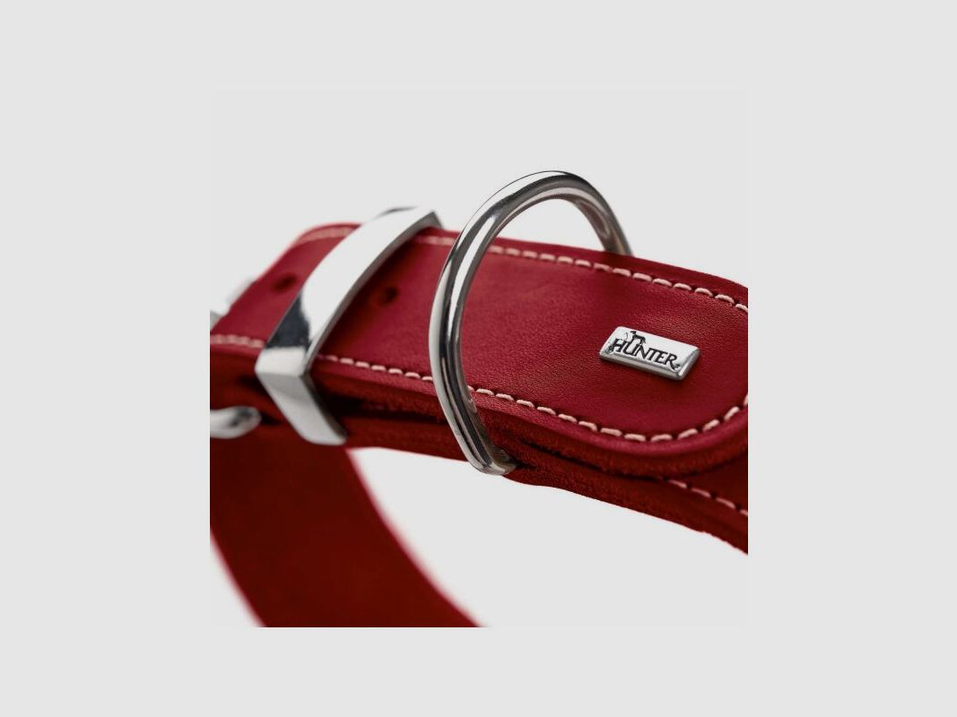 Hunter Halsband Aalborg Special