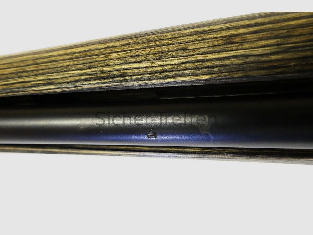 Blaser R8