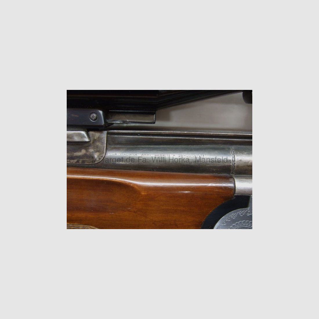 Sabattii mit ZF SWAROVSKI 6x42 Absehen 1