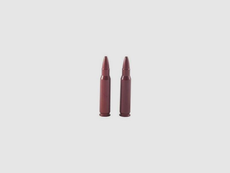 2 Cartuchos de Salva 270Win