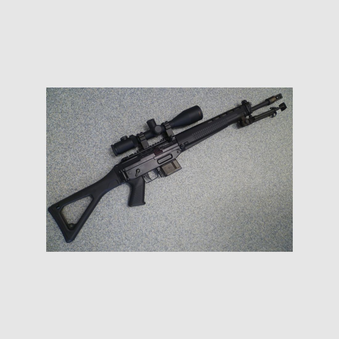 SLB SIG Sport 550 .223 Rem.