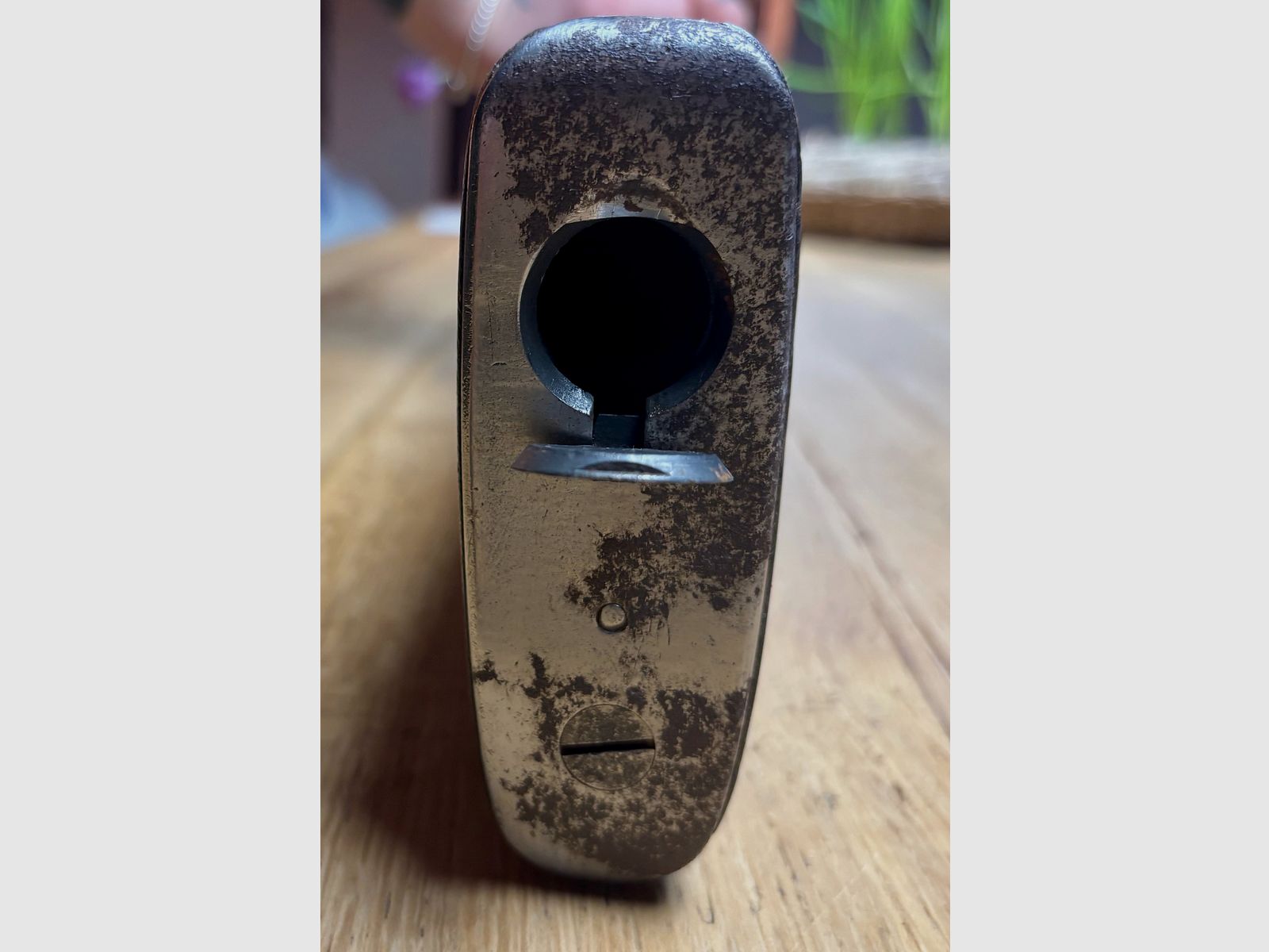 Winchester P17 / .30-06 Printemps