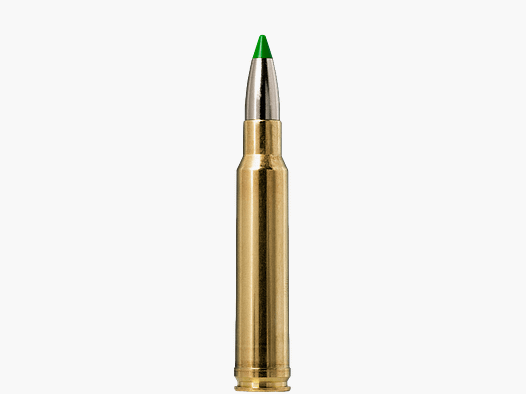 Norma .338 WIN MAG ECOSTRIKE 13 g 200 gr - 20 pièces