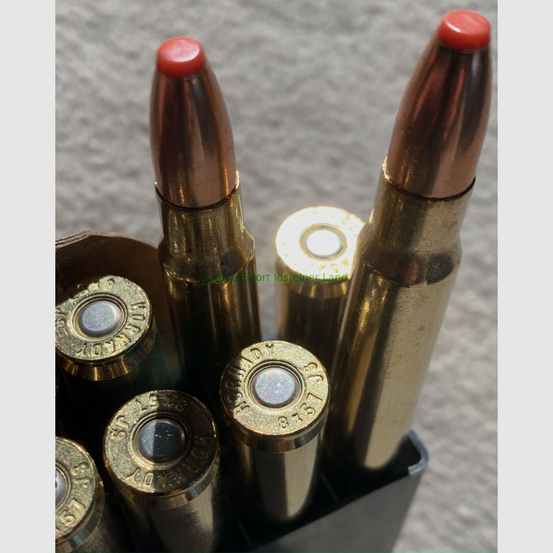 Hornady ECX -bleifrei- 180grs