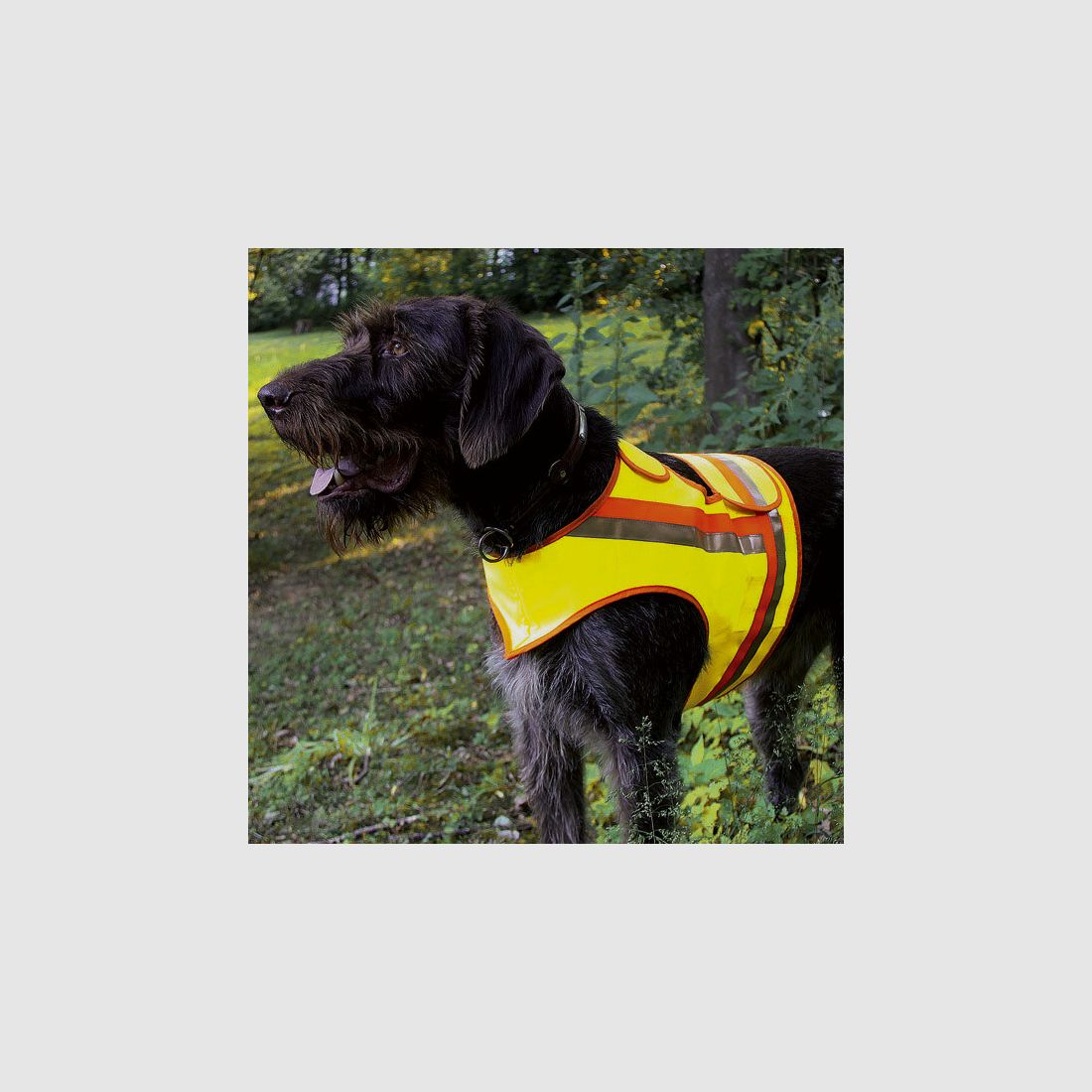 Reflektorweste für Hunde Größe 1 für Teckel