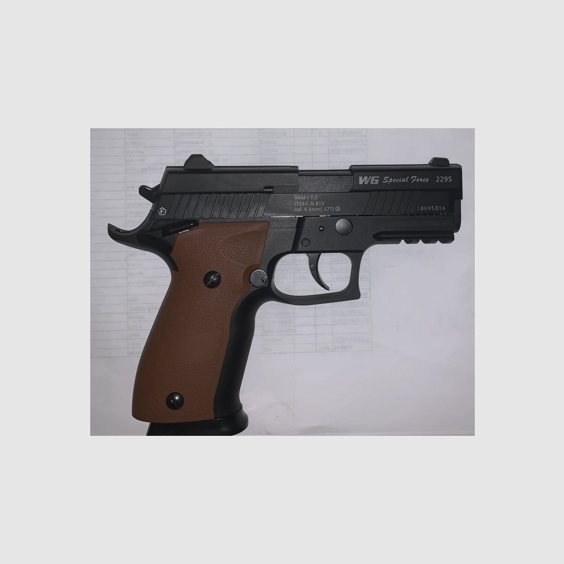 Sig Sauer P226 Bruni Guns Blow-Back