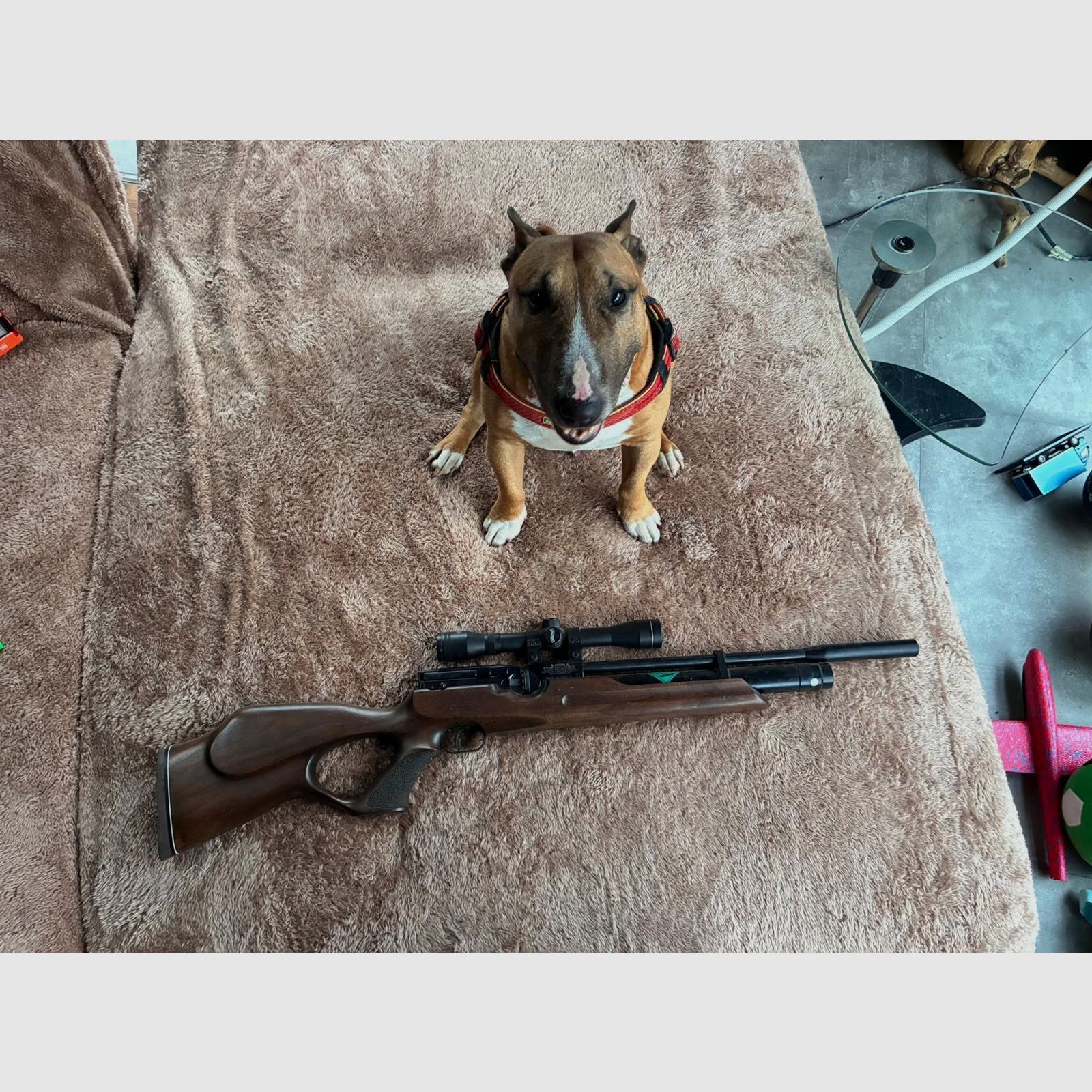 Pressluftgewehr Weihrauch HW 100 T Nussbaum-Lochschaft Kompensator Kaliber 5,5 mm