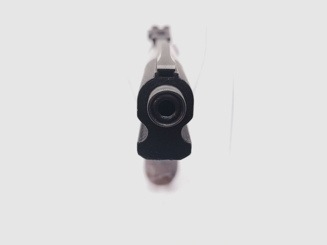 Walther PP Sport