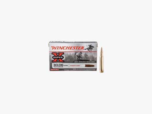 BOITE DE 20 CARTOUCHES 300 WM WINCHESTER POWER CORE 150G