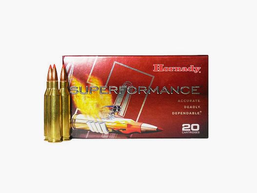 BOX MIT 20 PATRONEN HORNADY 243 WIN 95 GR SST SPF 80463