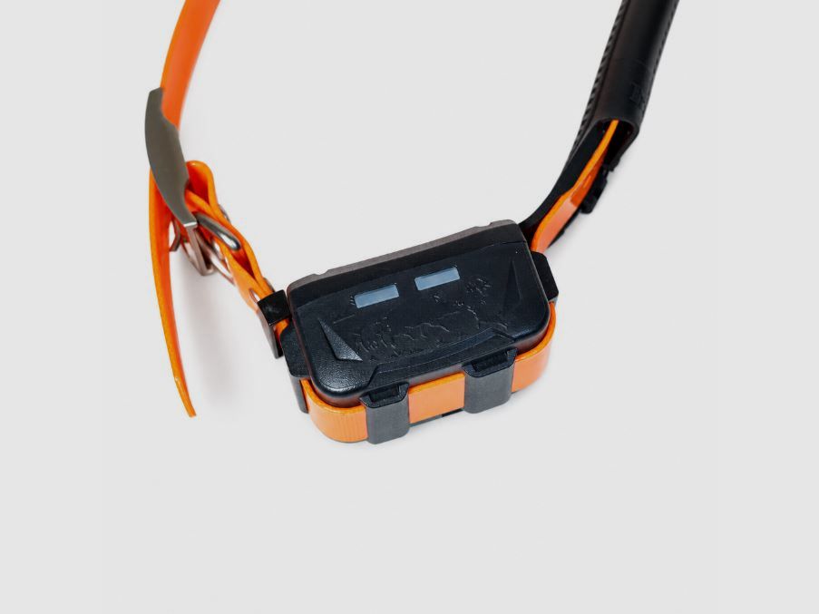 GPS-Halsband eSEEK, Bild 4 von 5