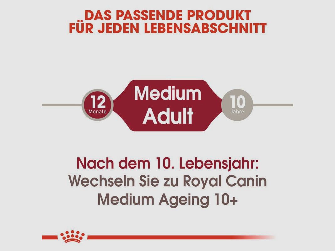 ROYAL CANIN Mittelgroße Hunde Nassfutter Medium Adult 10x140 g