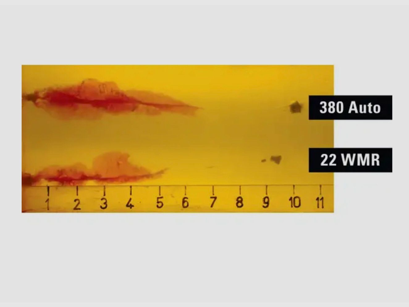 Hornady 83200 .22 WMR 45gr FTX Critical Defense