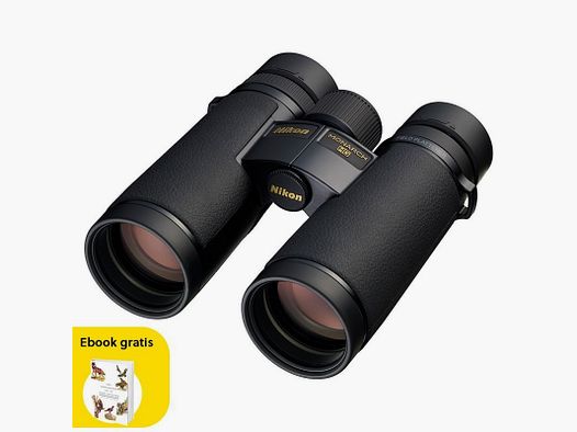 Nikon Monarch HG 8x42 Fernglas