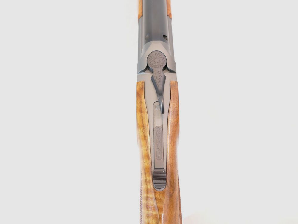 Blaser BS 95
