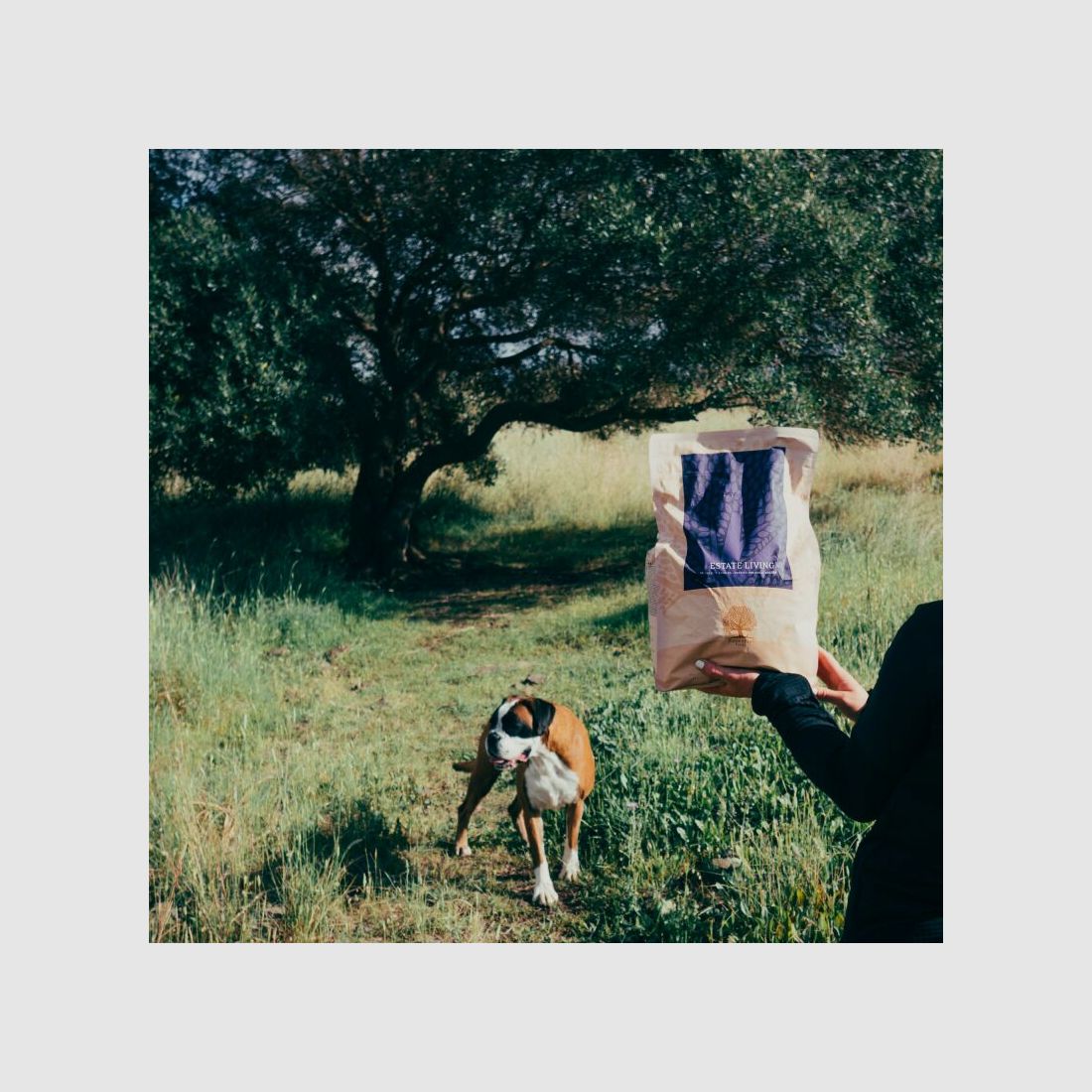 Essential Foods Essential Estate Living Small Size 4x3kg