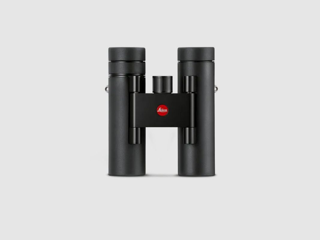 Leica Noctivid Compact 8x25 jumelles, noir, image 2 sur 4