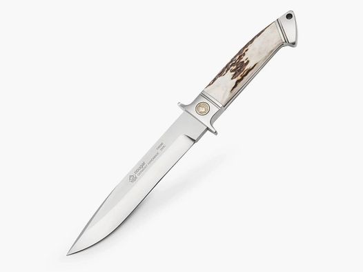 PUMA cougar, stag horn