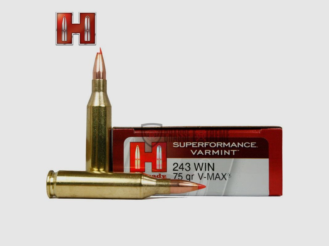 20 Patronen HORNADY Superformance Varmint 243 Win 75 Gr V-Max, Bild 1 von 2