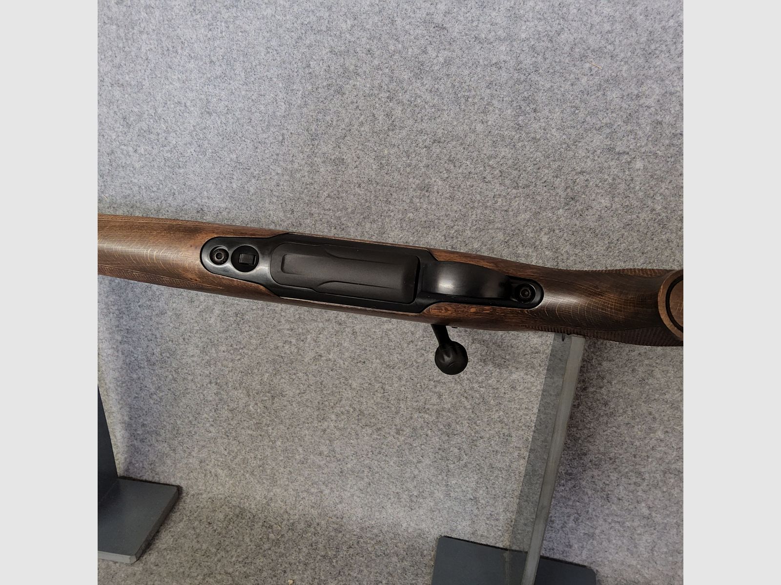 Sauer 100