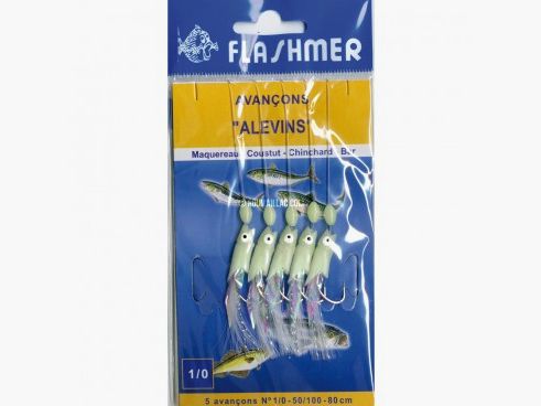 ALEVINS 5 HAMECONS