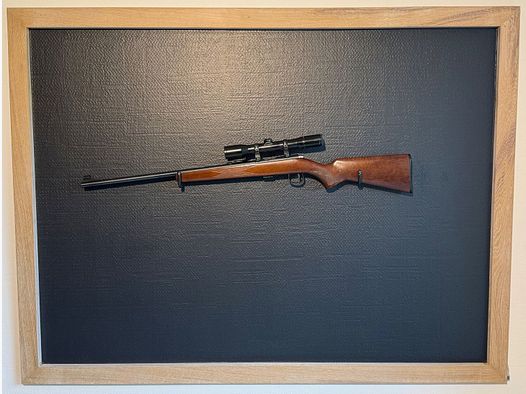 Anschütz .22 lfb with 1.5-6x36 Zeiss Diavari scope - TOP condition