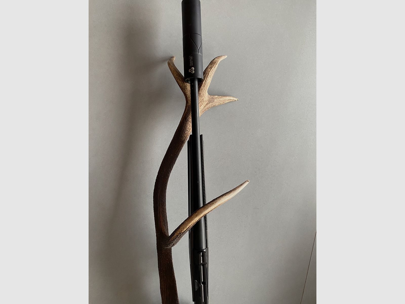 Sauer 202 carbon stock caliber 308