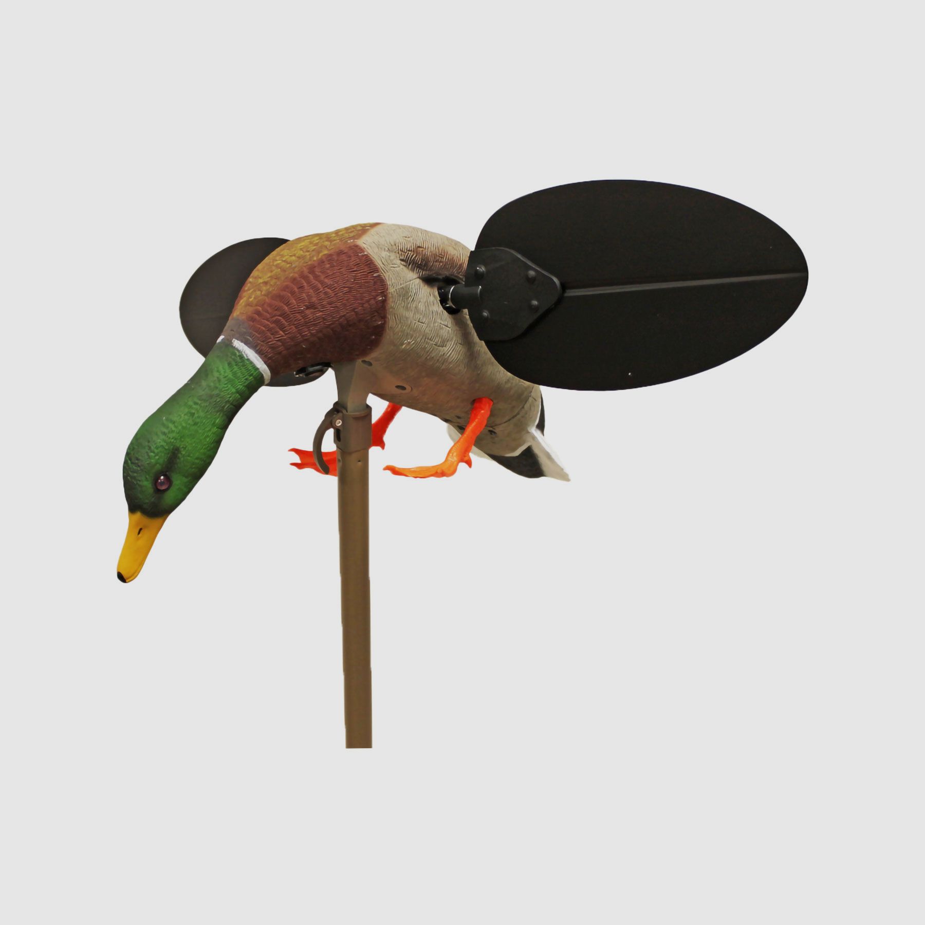 MOJO Mallard Drake UN3481
