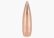 Sierra Geschoss .30/.308 155GR HPBT Match Palma 500 Stück