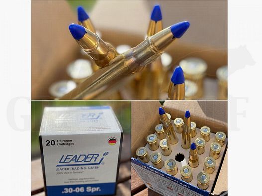 8x57 IS 8,2 mm 126 gr / 8,2 g Leader LJG-SX Cartouches en Laiton à Pointe Creuse 20 Pièces