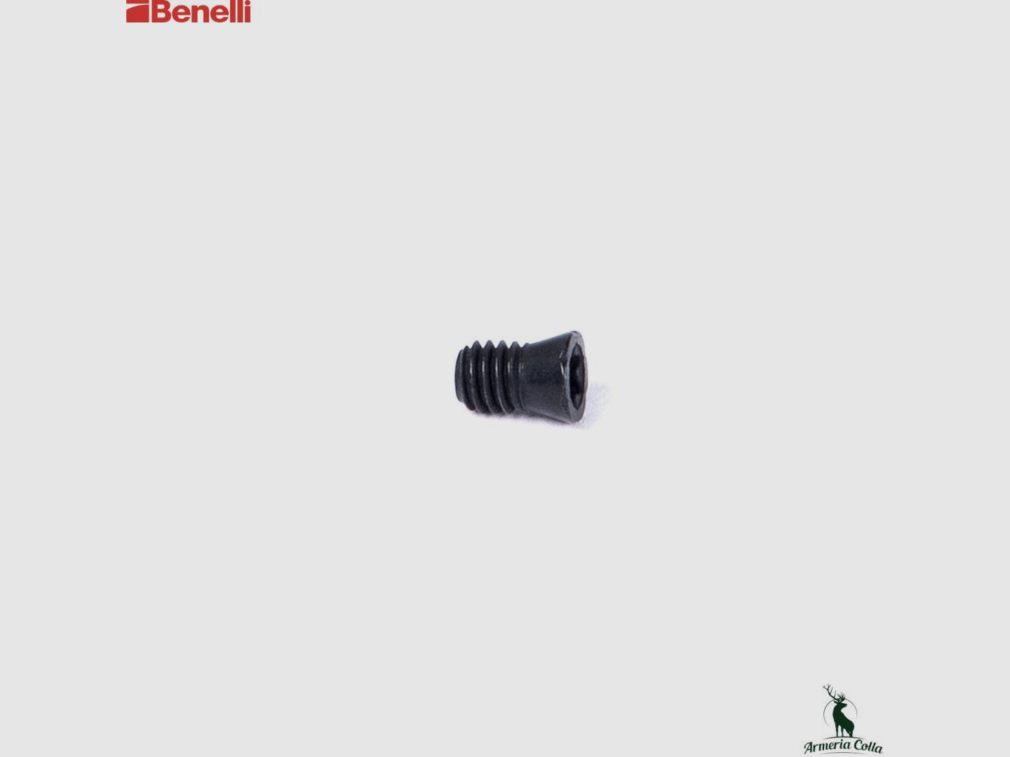 Benelli Vite Torx Tx I5 M4 X6.5