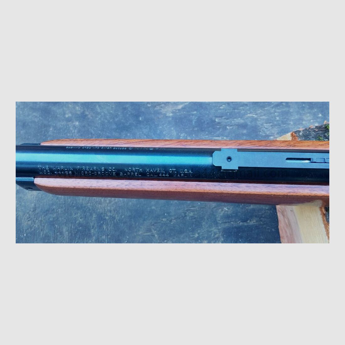 Marlin Firearms CO, North Heaven CT, EE. UU. Mod. 444SS