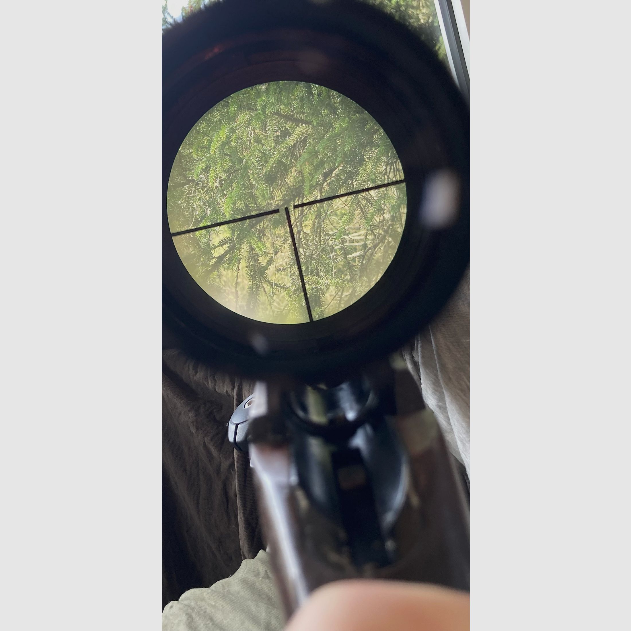 RARITÄT VOERE VOERENBACH KLASSIKER 6,5x57