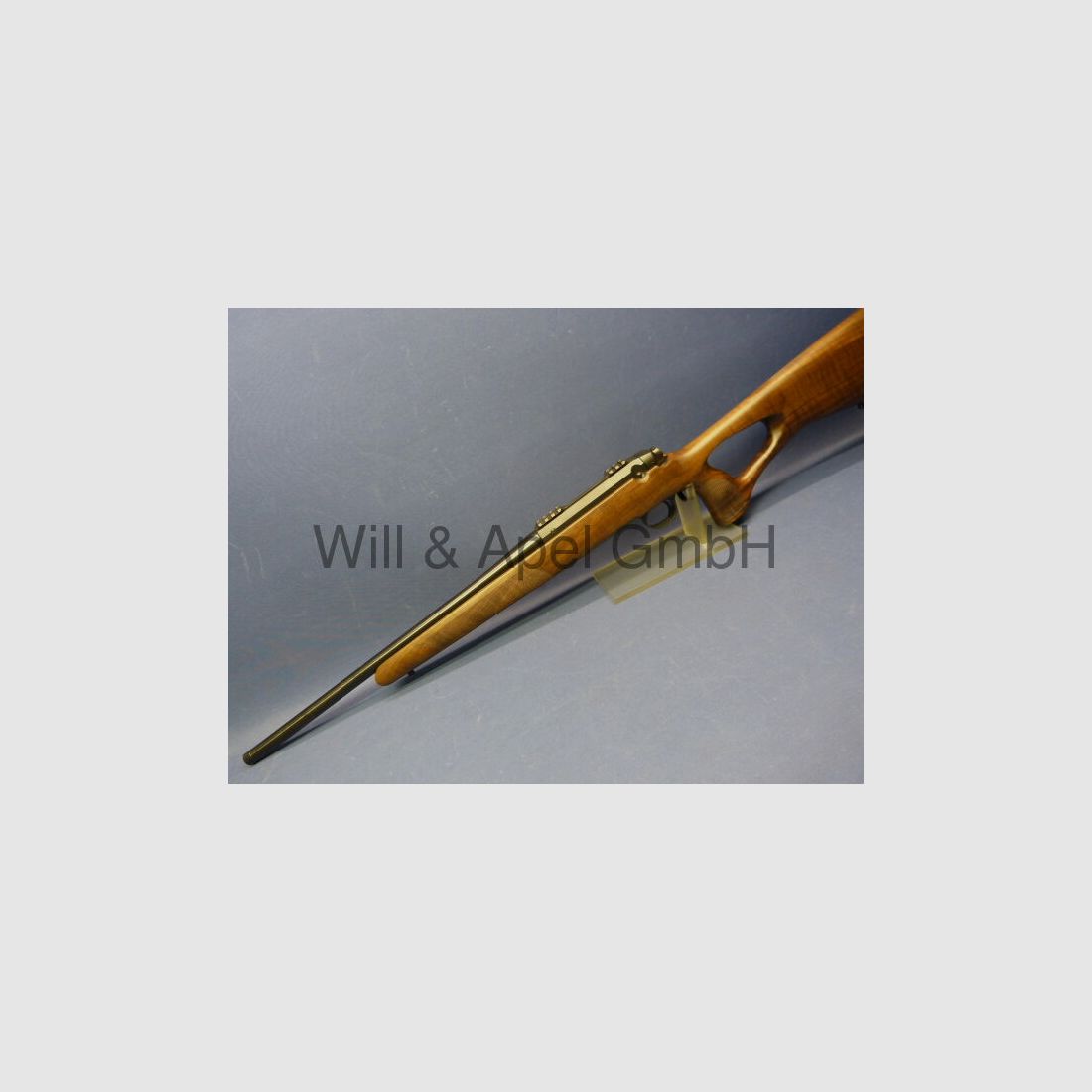 STEEL ACTION HS NUSSBAUM STOCK