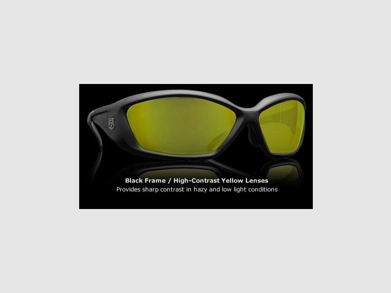 Revision Military Eyewear HELLFLY Taktische Schutzbrille