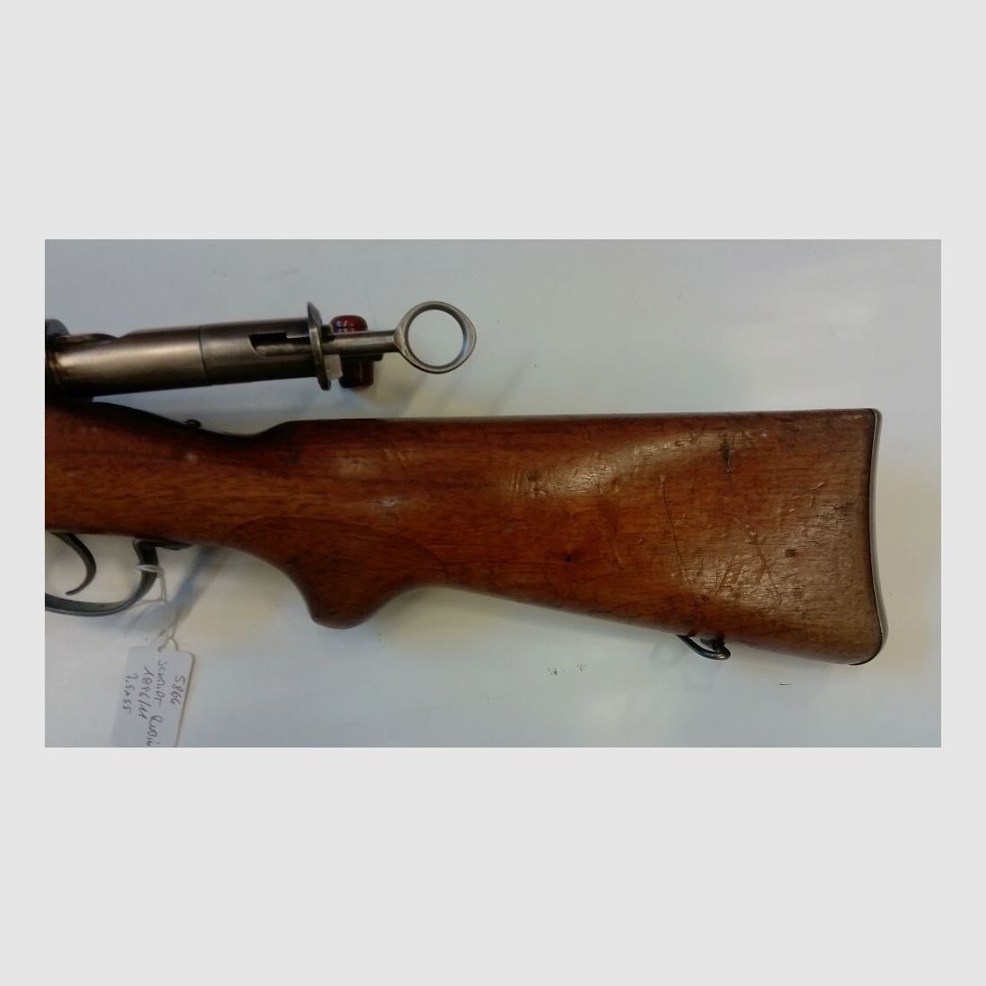 Schmidt Rubin 1896/11